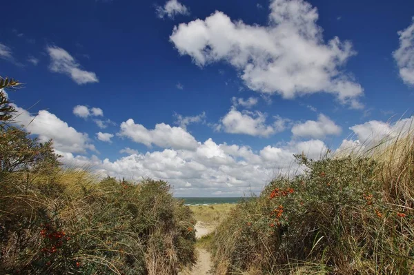 Dans Les Dunes Banjaard Beveland Nord Zélande Pays Bas — Photo