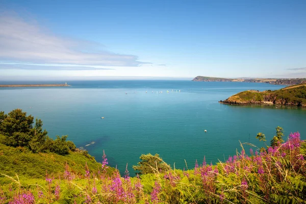País Gales Caminho Costa Fishguard Litoral Paisagem Dia Verão Justo — Fotografia de Stock