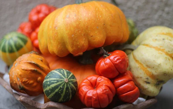 Citrouilles Gourdes Sur Table — Photo