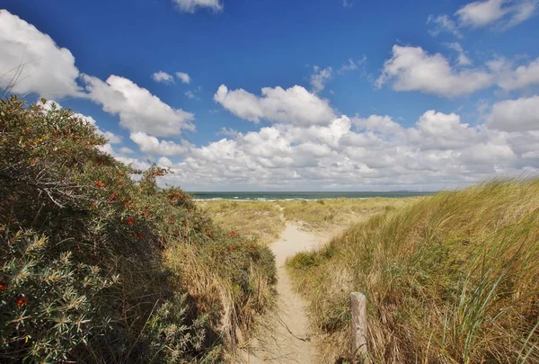 Las Dunas Banjaard North Beveland Zelanda Países Bajos —  Fotos de Stock