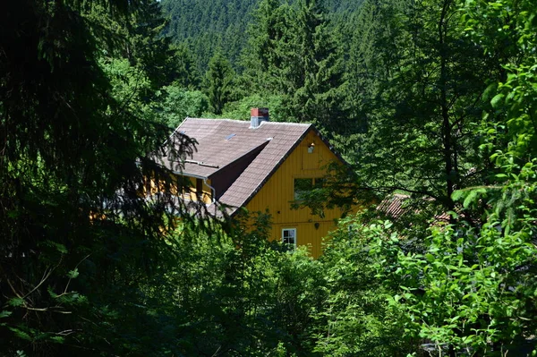 Harz Montanhas Alemanha — Fotografia de Stock