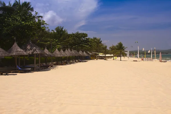 Parasol Sunloungers Beach Saigon Mui Resort Mui Vietnam Asia — 스톡 사진
