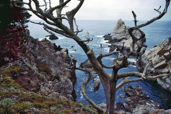 Costa Oceano Pacífico Point Lobos Califórnia — Fotografia de Stock