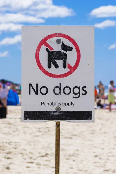 Stock image No dogs sign on a beach against blue sky