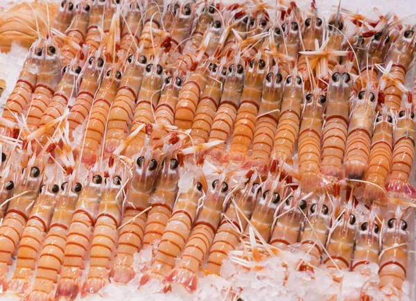 Balık Pazarında Buzda Pişmiş Karidesin Yakın Çekimi — Stok fotoğraf