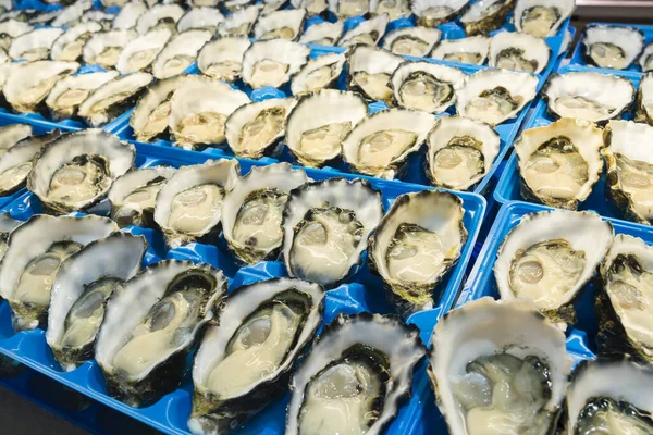 Close Fresh Oysters Trays Ice Fish Market — Stock Photo, Image