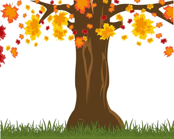 Ilustração Vetorial Árvore Outono Com Folhagem Caindo — Fotografia de Stock