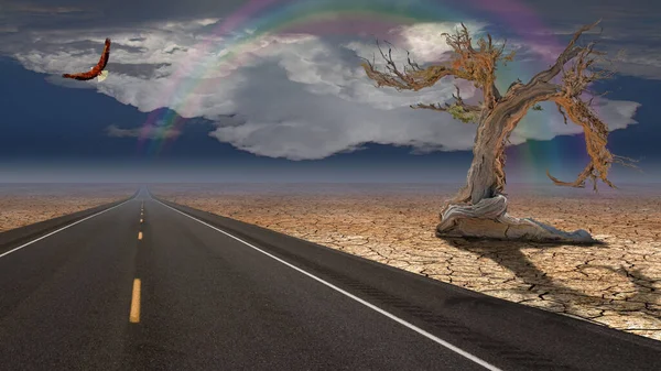 Estrada Deserto Árvore Velha Lado Águia Céu — Fotografia de Stock