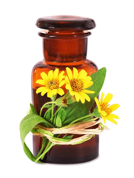 Arnica Vieux Flacon Pharmaciens — Photo