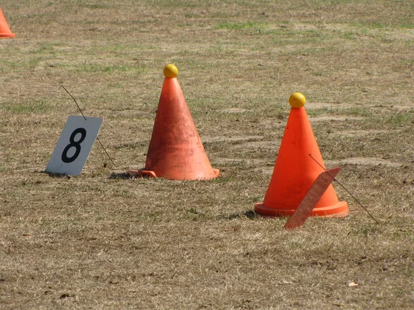 Uitrusting Voor Vervoerswedstrijden — Stockfoto