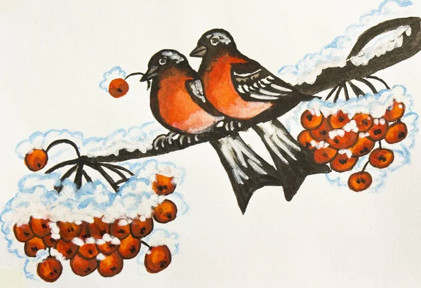 手绘插图 水蜜桃 两个牛翅在树枝上的灰浆果 原尺寸30X20 5平方米 — 图库照片