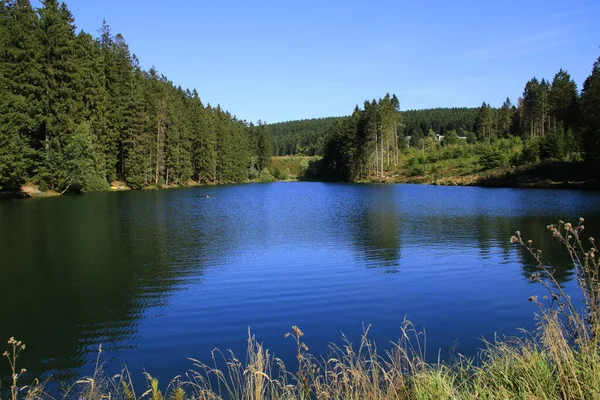 Vista Lagoa Grumbacher Perto Hahnenklee Harz Maré Baixa Verão 2018 — Fotografia de Stock