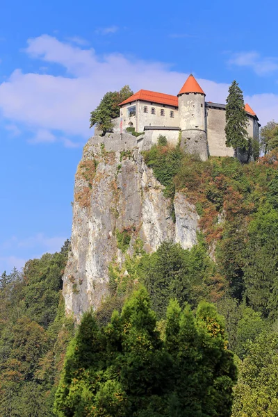 Vista Castelo Bled Bled — Fotografia de Stock