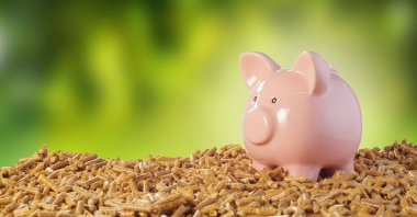 Pink piggy bank on a pile of wood pellets against a blurred outdoor green background conceptual of costs or savings of organic biofuels clipart