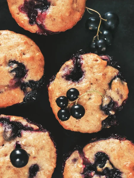 Muffins Koyu Arka Plan Üzerinde Siyah Frenk Üzümü Ile Kapatın — Stok fotoğraf