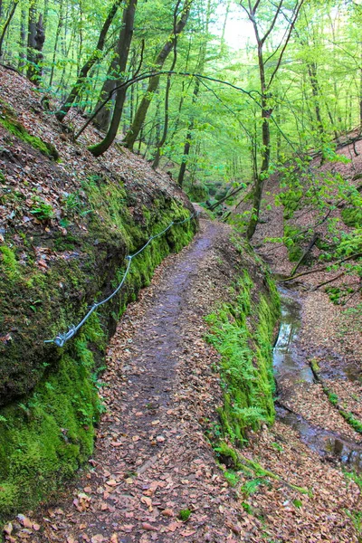 Ejder Kanyonu Eisenach Thuringia — Stok fotoğraf