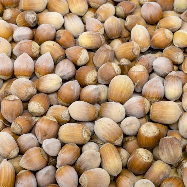 Muitas Avelãs Marrons Formato Enchimento Como Fundo — Fotografia de Stock