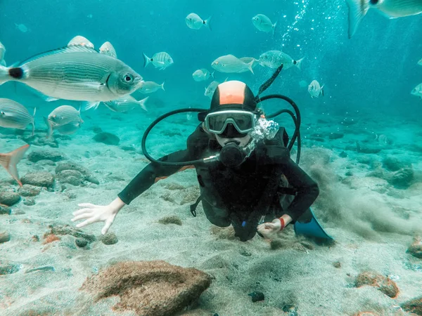 Dive Девушка Курсе Дайвинга Море Большим Количеством Рыбы — стоковое фото