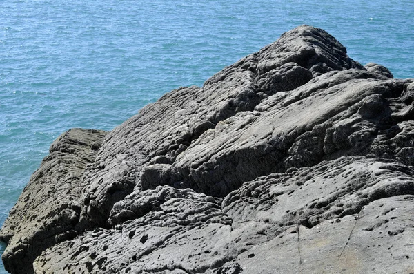 Gros Plan Sur Structure Récif Rocheux Bord Mer Bretagne France — Photo