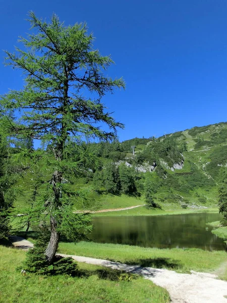 有树木和蓝天的克莱勒湖 — 图库照片