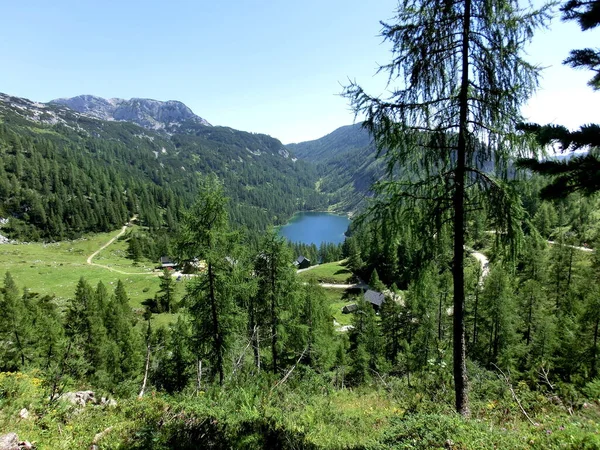 Vista Para Schwarzen Lake — Fotografia de Stock