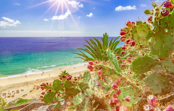 Azure Praia Azul Esquinzo Fuerteventura Ilhas Canárias Ilhas Canárias Cima — Fotografia de Stock