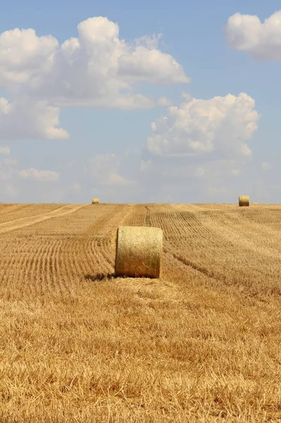 Bales Straw Stubble Field Cloudy Blue Sky — Stock Photo, Image