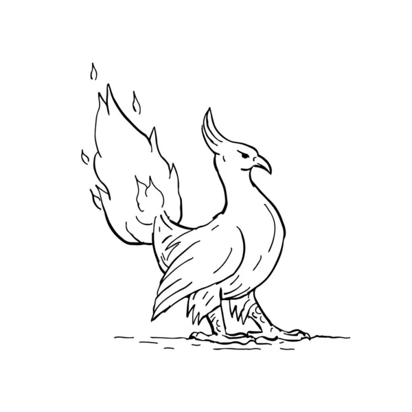 Drawing Sketch Style Illustration Phoenix Greek Mythology Long Lived Bird — Stock Photo, Image