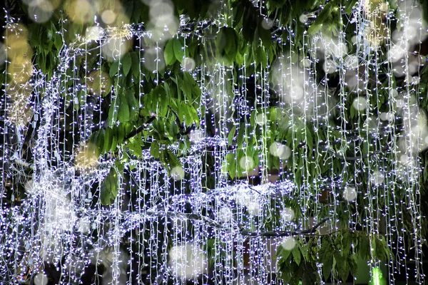 Uma Imagem Árvore Natal Brilhante Tempo Natal — Fotografia de Stock