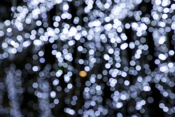 Une Image Sapin Noël Brillant Sur Temps Noël — Photo