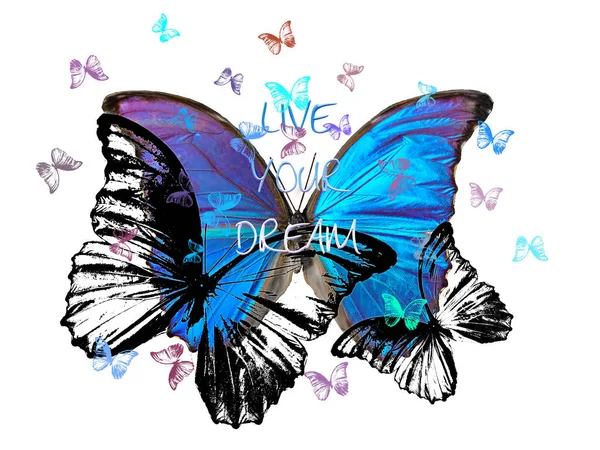 用五彩斑斓的蝴蝶来表达 实现你的梦想 的格言 — 图库照片