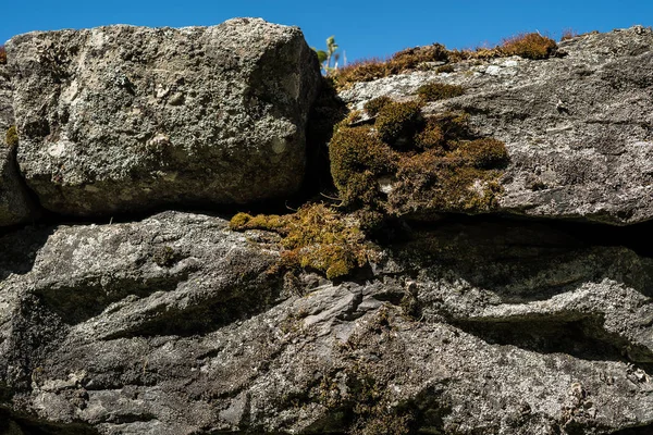 Close Detail Van Een Oude Ruwe Landelijke Stenen Omheining Met — Stockfoto