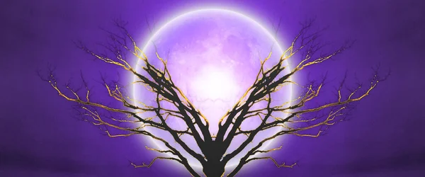 Magiskt Träd Fullmåne — Stockfoto