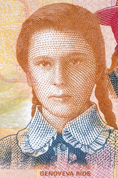 Портрет Генерала Ріоса Болівійських Грошей — стокове фото