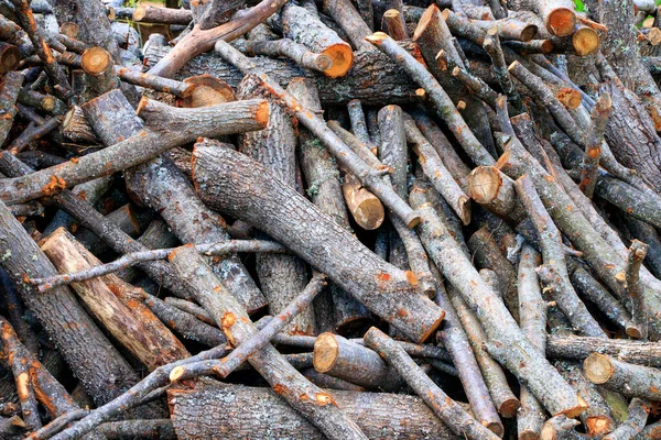 Stompen Stokken Gekapt Hout — Stockfoto