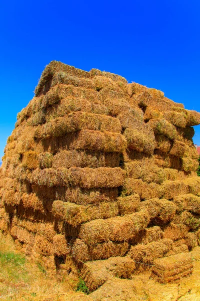 Vista Panorámica Agricultura Campo —  Fotos de Stock