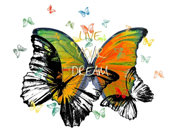 用五彩斑斓的蝴蝶来表达 实现你的梦想 的格言 — 图库照片