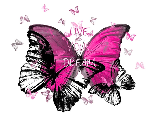 Σύνθημα Ζήσε Όνειρό Σου Πολύχρωμες Πεταλούδες — Φωτογραφία Αρχείου