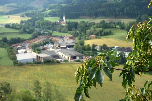 Sawmill Carinthia Castle Osteres — стоковое фото