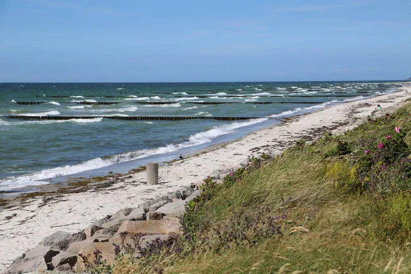 Insel Hiddensee Insel Deutschland Ostdeutschland Ostsee Tourismus Urlaub Urlaub Natur — Stockfoto