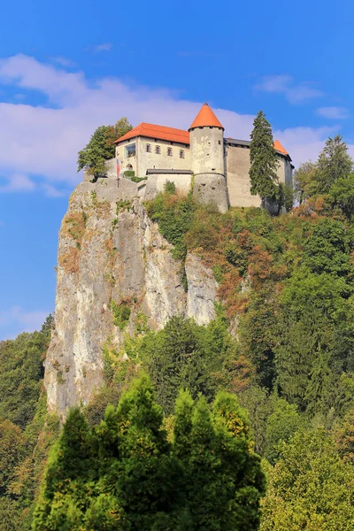 Castillo Bled Asienta Majestuosamente Sobre Una Roca 130 Altura Sobre —  Fotos de Stock