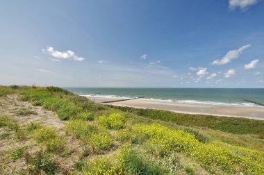 The North Sea and the sandy beach - panoramic view from a scenic path, a splendid outlook over the sea, Domburg, Walcheren, Zeeland, The Netherlands clipart