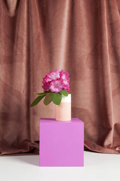 Bicolor Vas Med Blommor Rosa Rhododendron Inuti Och Färgade Kuber — Stockfoto