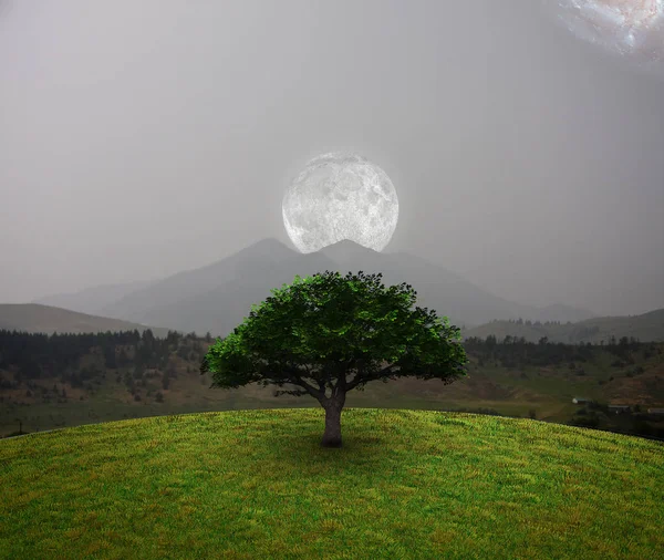 Grüner Baum Auf Dem Feld Vollmond Über Der Berglandschaft Galaxie — Stockfoto