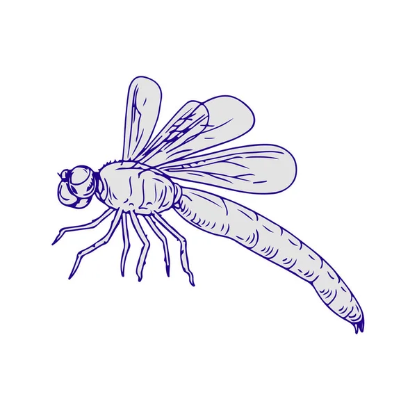 Ritning Skiss Stil Illustration Dragonfly Flaxande Vingar Sidovy Vit Bakgrund — Stockfoto