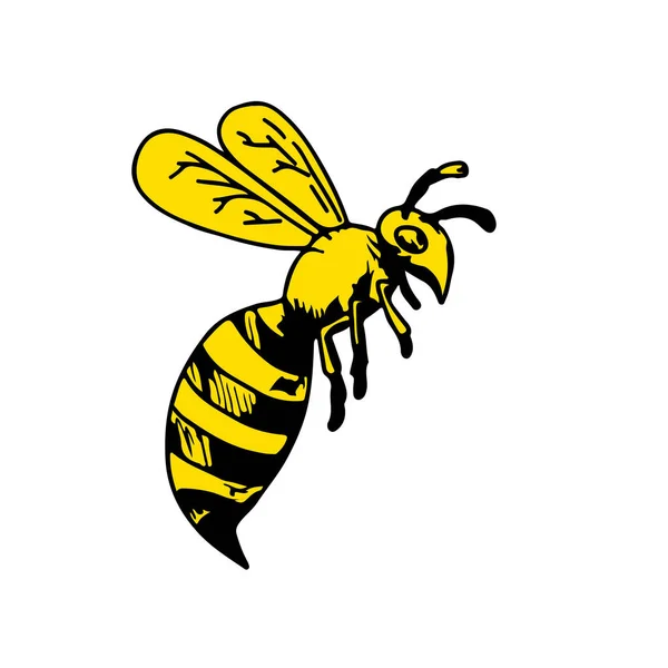 Tekening Schets Stijl Illustratie Van Een Yellowjacket Wasp Uss Hornet — Stockfoto