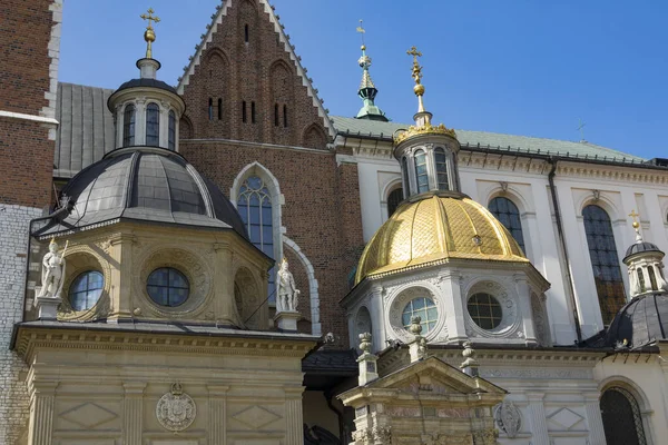 Krakkói Wawel Kastély Területe Lengyelország — Stock Fotó