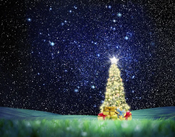 Konzeptbild Von Geschmückter Weihnachtsbaum Auf Grüner Landschaft Über Dem Nachthimmel — Stockfoto
