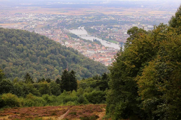 Heidelberg Una Ciudad Río Neckar Suroeste Alemania — Foto de Stock