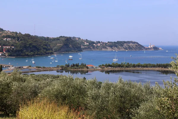 View Strunjan Piran Slovenian Coast — Stock Photo, Image